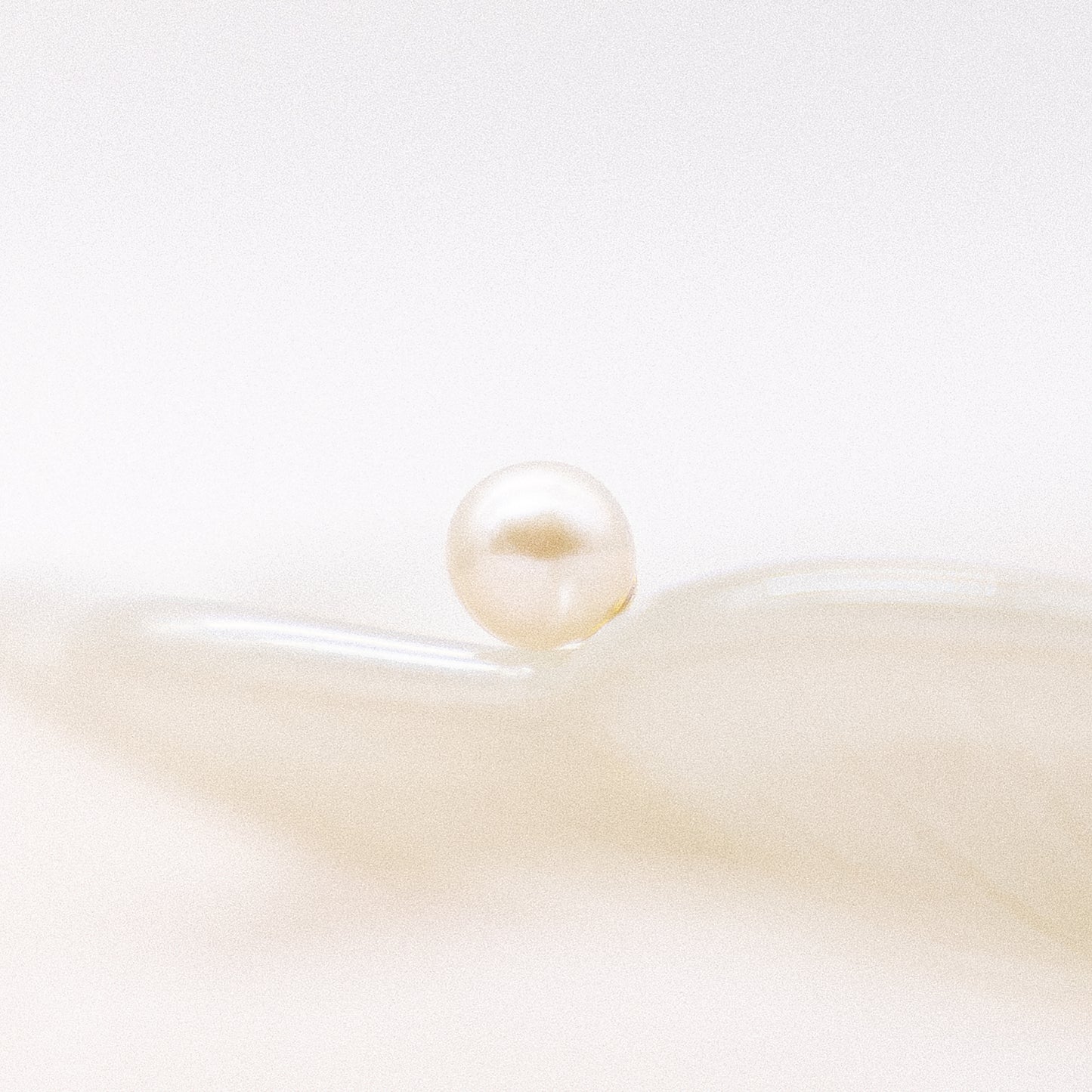 Ohrringe 333/- Gold 0,7cm Süßwasserzuchtperle