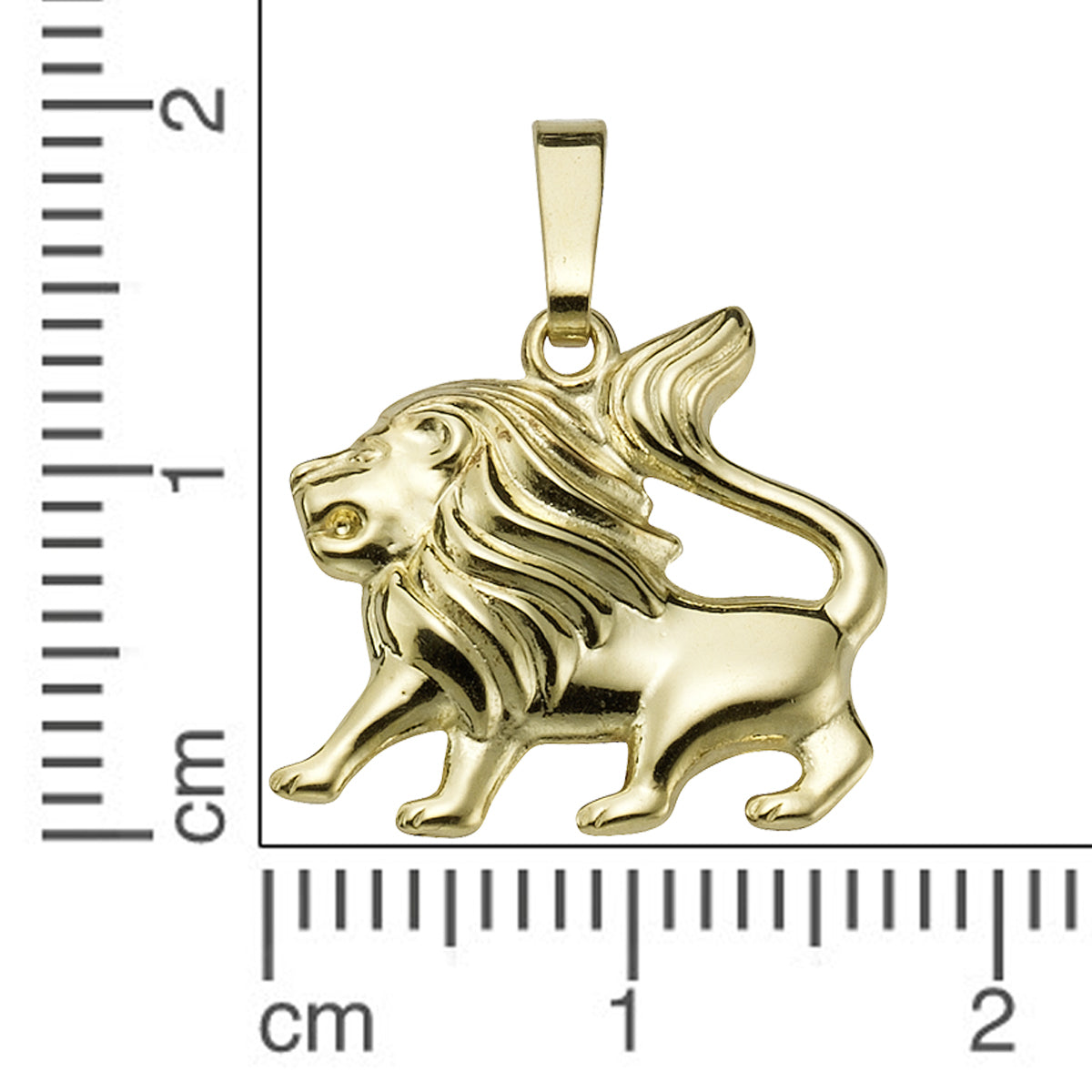 Anhänger Sternzeichen Löwe 333/- Gold 2,0cm