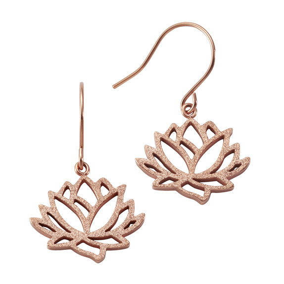 Ohrhänger Edelstahl 3,4cm