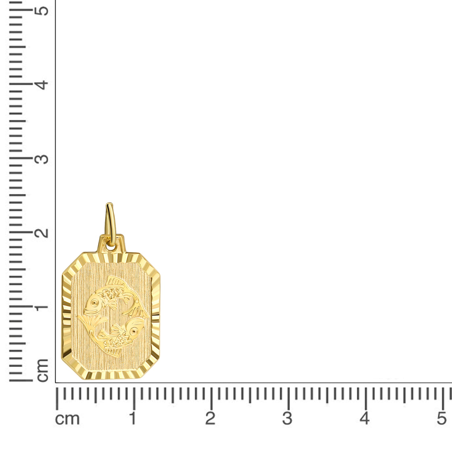 Anhänger Sternzeichen Fische 333/- Gold 2,2cm