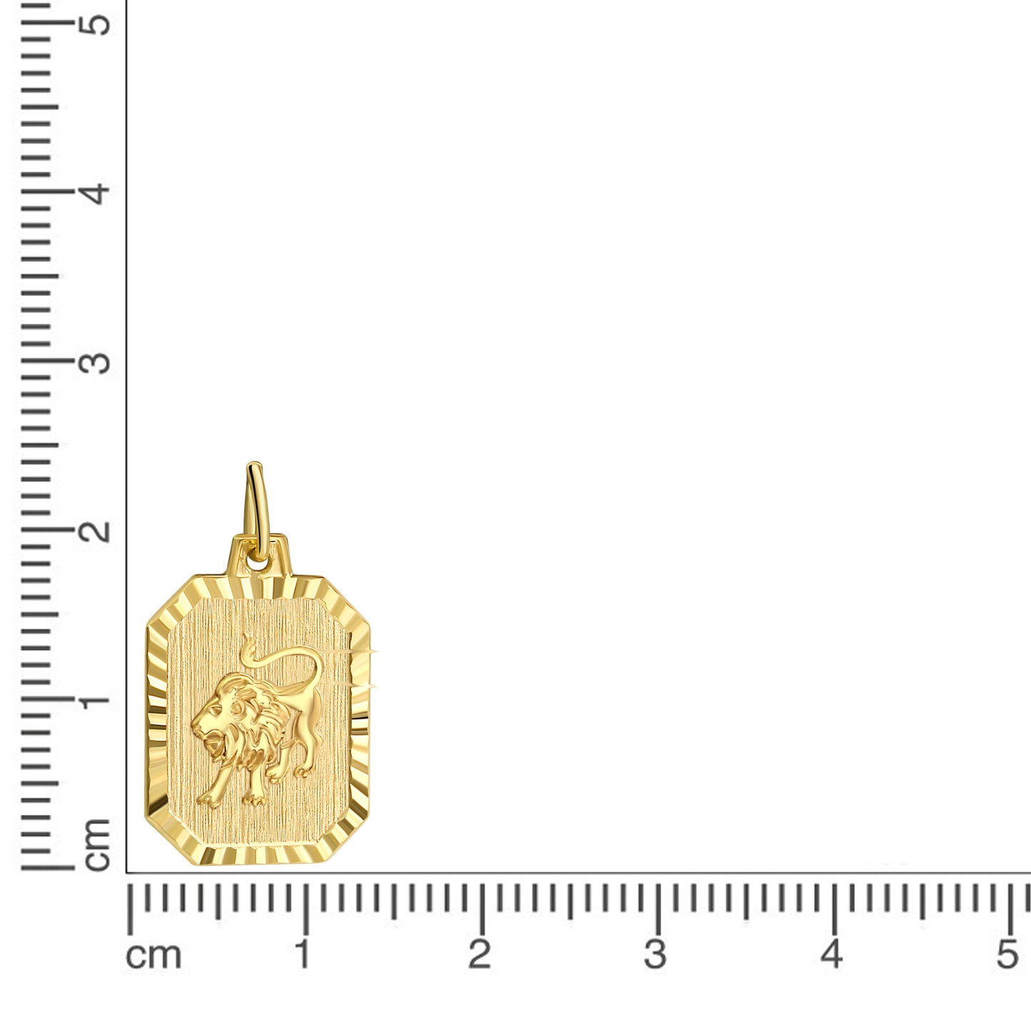 Anhänger Sternzeichen Löwe 333/- Gold 2,2cm